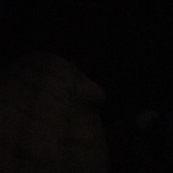 Meet your Posher, Hxneyglxw - Picture 1 of 1